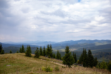 Fototapeta na wymiar Magnificent view the coniferous forest on the mighty Carpathians Mountains and beautiful cloudy sky background. Beauty of wild virgin Ukrainian nature, Europe. Popular tourist attraction.