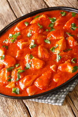 Ostropel is a typical Romanian stew made from chicken mixed with a thick tomato sauce closeup in the plate on the table. Vertical