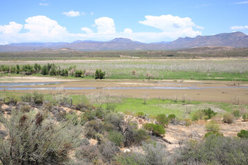 Fototapeta premium Roosevelt Lake in Tonto National Forest, Arizona, USA