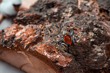A brooch in the form of a frog made of bronze and amber