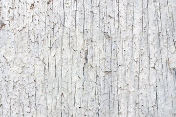 wood texture. background old panels