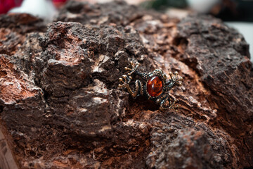 A brooch in the form of a frog made of bronze and amber © ISliM