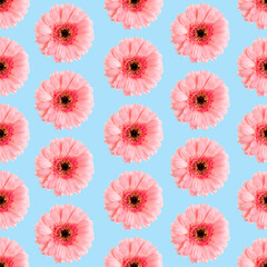 Seamless pattern of pink gerbera on a white Germini photo converted into a seamless pattern
