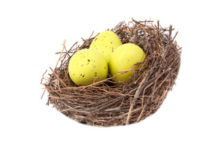Colorful eggs in wooden bird nest isolated on the white background