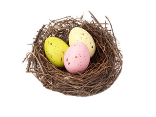 Colorful eggs in wooden bird nest isolated on the white background