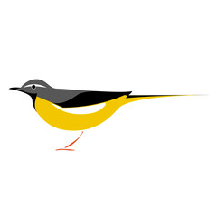 Illustration of Siskin bird