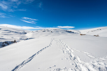 Altopiano della Lessinia (Lessinia Plateau) in winter with snow and Monte Tomba (Tomb Mountain), Regional Natural Park, near Malga San Giorgio, ski resort in Verona province, Veneto, Italy, Europe.