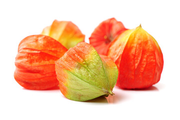 Physalis fruit isolated on white background 