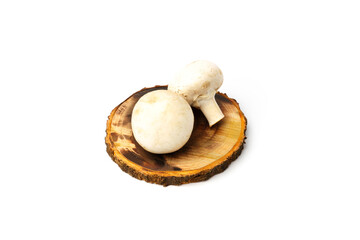 natural porcini mushrooms champignons on a round board isolated on a white