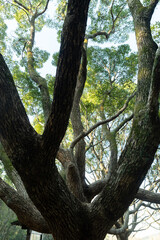 生命力を感じる