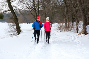 Fototapeta na wymiar Smiling senior couple walking with nordic walking poles in snowy winter forest. Elderly wife and husband doing healthy exercise outdoors. Active lifestyle after retirement concept.