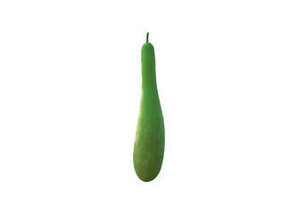 Luffa cylindrica or the sponge gourd, Luffa gourd plant isolated on white background.