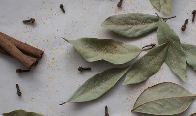 Close-up of cooking seasonings