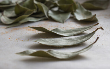 Close-up of bay leaves before cooking