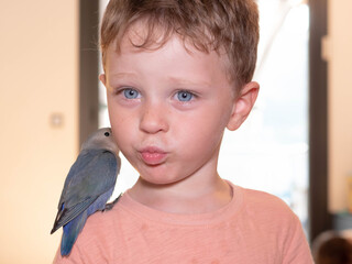 RETRATO DE UN NIÑO RUBIO CON OJOS AZULES CON SU PAJARO DE LA RAZA AGAPORNI POSADO EN SU HOMBRO