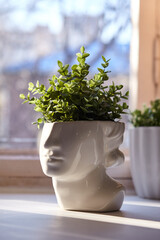 Vase in the shape of a face with greenery