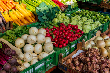 Fresh variety of root vegetables in a food farmer's market ready for sale. Colorful and vibrant veggies for a healthy diet such as carrot, beetroot, daikon, celery, radish, parsnip and more.