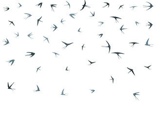 Flying swallow birds silhouettes vector illustration. Nomadic martlets school isolated on white.