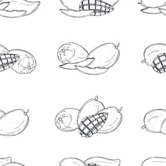 Tropical fruits. Vector  illustration