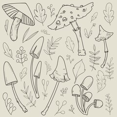 Cartoon forest doodle illustrations. Mushrooms and leaves