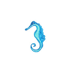 Watercolor seahorse decorated with white patterns. Blue and turquoise colors. Sea animal hand painted illustration on white background. Great for posters, mug decoration, scrapbooking.