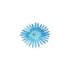 Watercolor sea urchin decorated with white patterns. Blue and turquoise colors. Sea animal hand painted illustration on white background. Great for posters, mug decoration, scrapbooking.