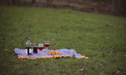 romantic picnic on green grass with glasses of red wine and donuts with jam