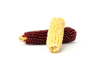red and white corn isolated on white background.