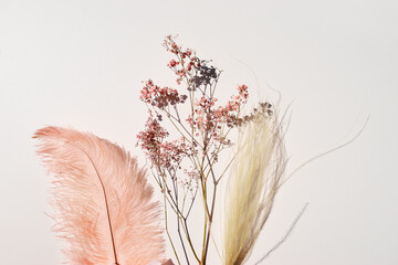Pink-yellow feather and dry flowers on white background.
