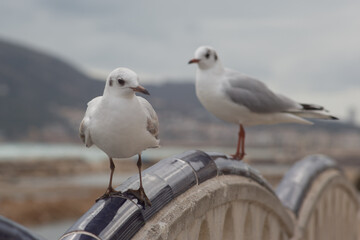 Altea City, Alicante, Spain
