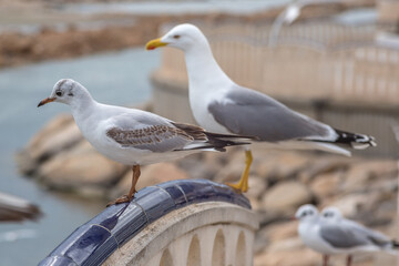 Altea City, Alicante, Spain