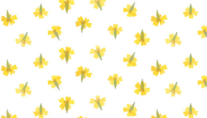 Abstract floral pattern of yellow pressed flower.