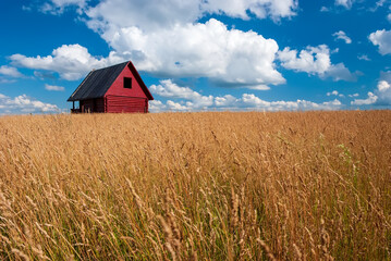 Standing house of bars stands in a field against the background of autumn grass and blue sky with...