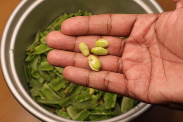 broad beans isolated on white background