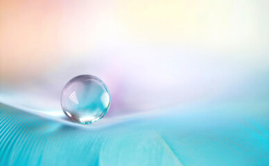 Beautiful clean transparent bright drop of water on feather in light blue and purple colors, macro. Tender image of beauty of environment and nature.