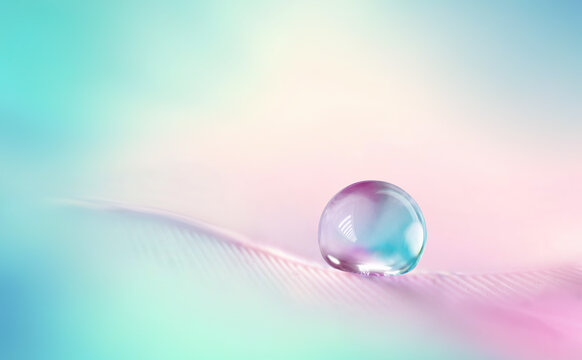 Beautiful clean transparent bright drop of water on feather in light blue and pink spring colors, macro. Tender image of beauty of environment and nature.