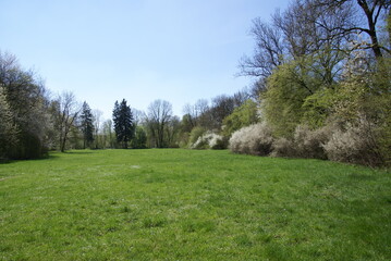 Fototapeta na wymiar Blühende Parklandschaft in weiß und grün 416255338