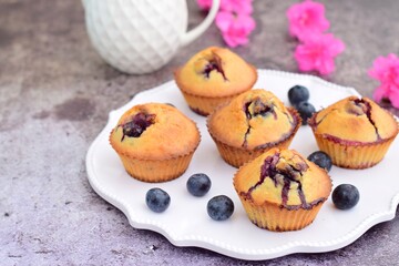 Baked blueberry muffins on white plate