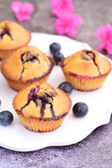 Baked blueberry muffins on white plate