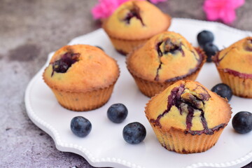 Baked blueberry muffins on white plate