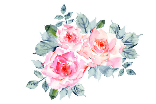 Hand drawn watercolor rose flowers in temder pink and red colors, green leaves and branches