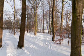 Winterliche Schneelandschaft