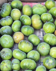 Organic Green Tomatoes at Farmers Market