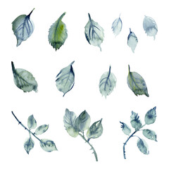 Hand drawn watercolor green leaves and branches.