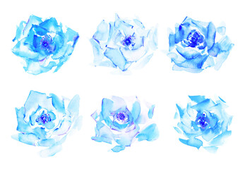 Naklejka premium Hand drawn watercolor rose flowers in blue colors
