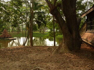 Sunset Over pond , tropical garden, Peaceful evening landscape