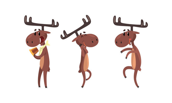 Set of Funny Deer in Action, Brown Moose Humanized Character Cartoon Vector Illustration