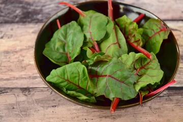 Fresh young leaves of chard for salad in a bowl