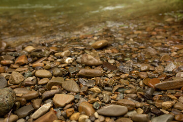 Mountain river with pebbles