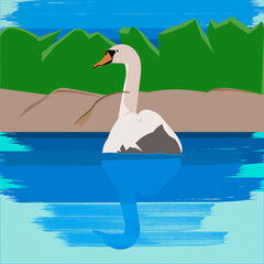 swan on the lake